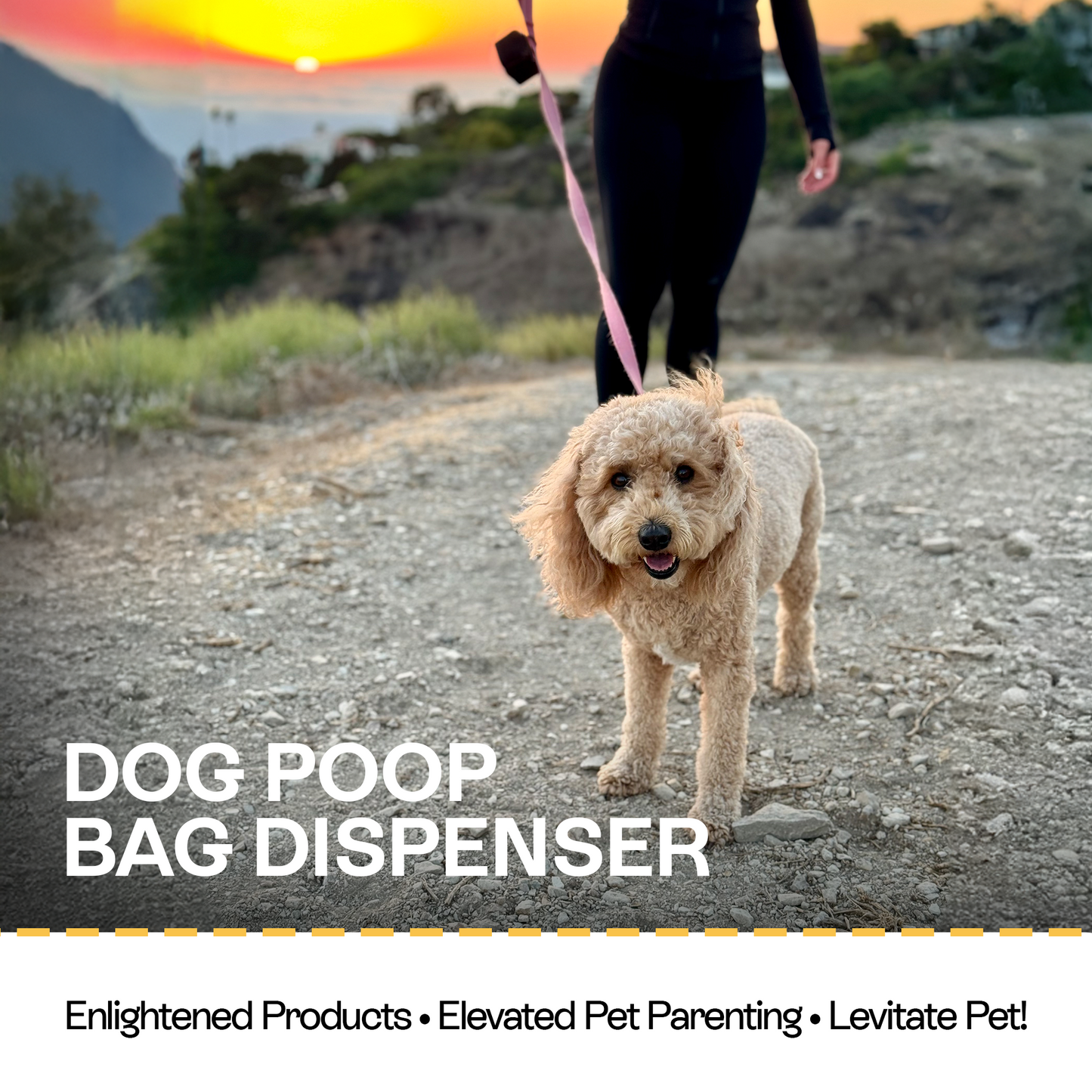 Leash Pouch Poop Bag Dispenser (Small, Black)
