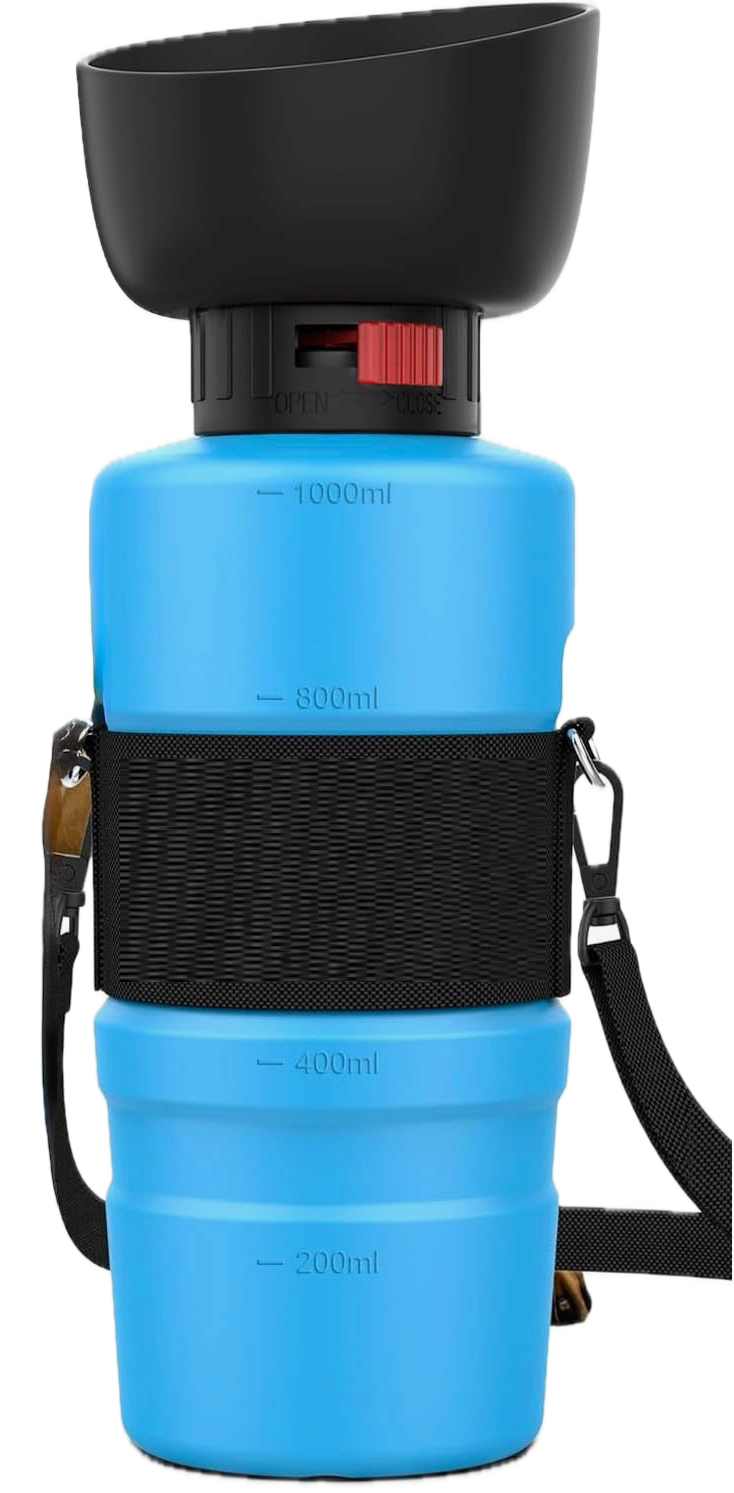 Portable Water Bottle