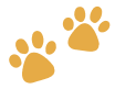 Pet Shadow