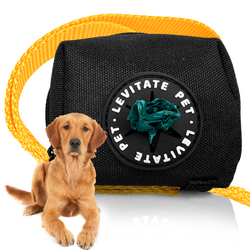 ⁠Leash Pouch Poop Bag Dispenser (Large, Black)