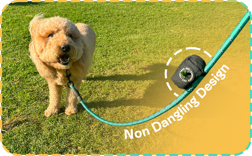 Perfect Size. Premium Quality