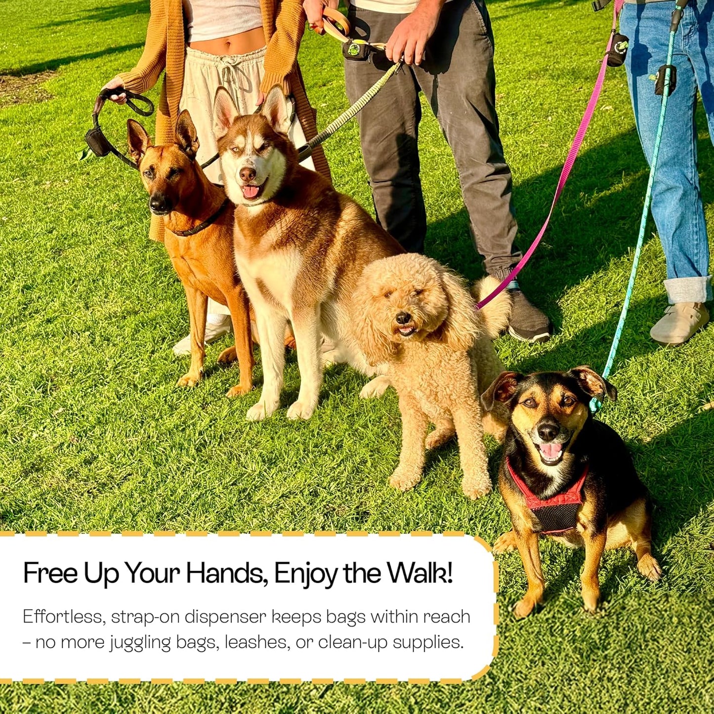 ⁠Leash Pouch Poop Bag Dispenser (Large, Black)