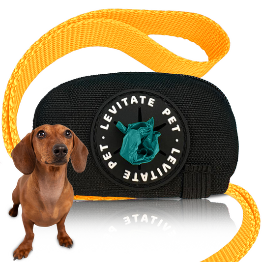 Leash Pouch Poop Bag Dispenser (Small, Black)